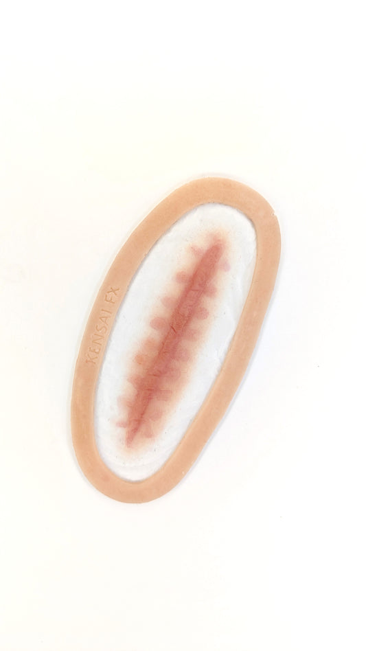 Pre-Painted Healing Scar Wound Encapsulated Silicone Prosthetic